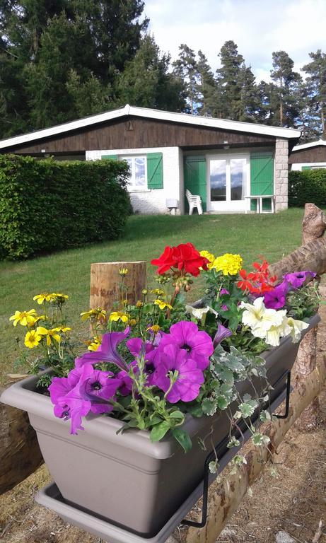 Vvf Haute Loire Haute Ardeche Tence Exterior photo